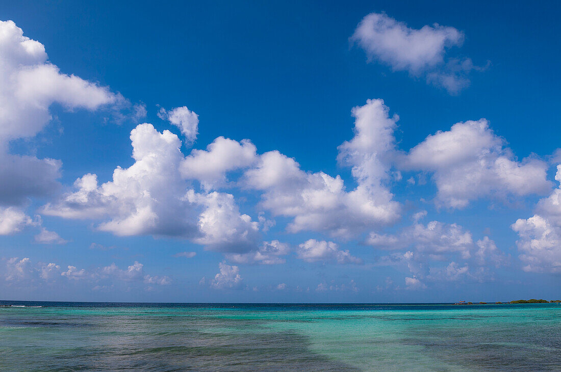 Wasser, Horizont und Himmel, Mangel Halto Beach, Aruba, Kleine Antillen, Karibik