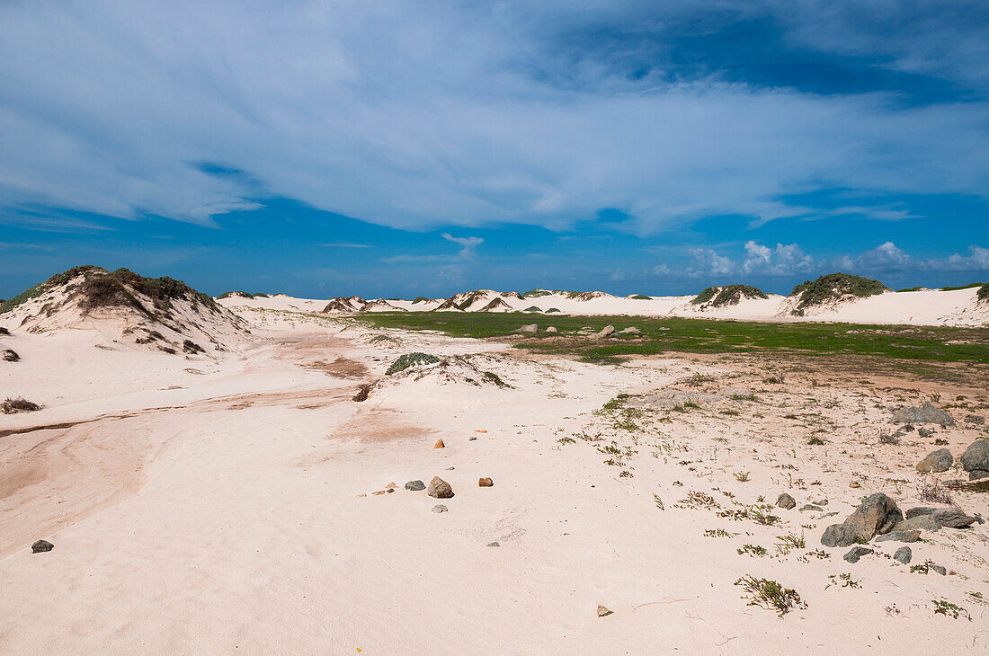 Landschaft mit Sanddünen, Aruba, Kleine Antillen, Karibik