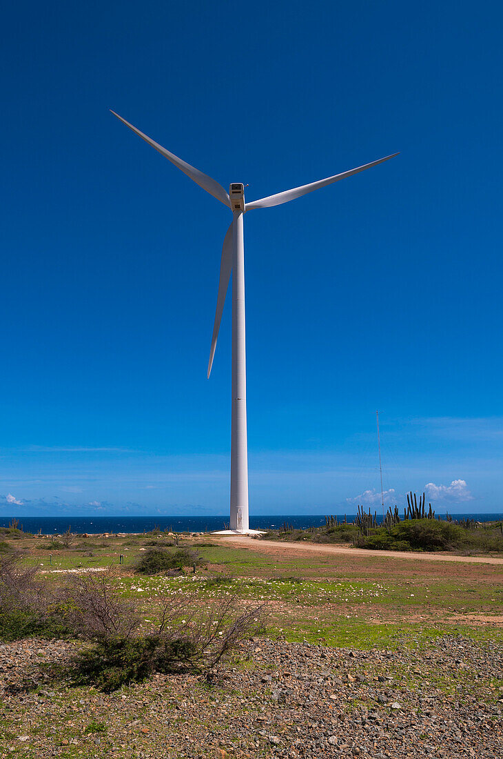 Wind Turbine near Coast, Aruba, Lesser Antilles, Caribbean