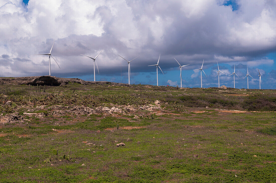 Reihe von Windturbinen, Aruba, Kleine Antillen, Karibik
