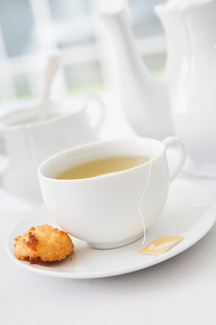 Tasse Tee in weißer Porzellantasse mit Untertasse, Zuckerdose, Teekanne und Teller mit Kokosmakronen, Studioaufnahme
