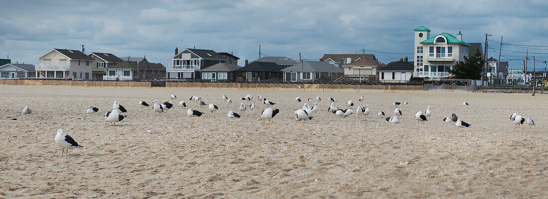 Panoramablick auf Strandhäuser an der Küste von Jersey, Point Pleasant, New Jersey, USA