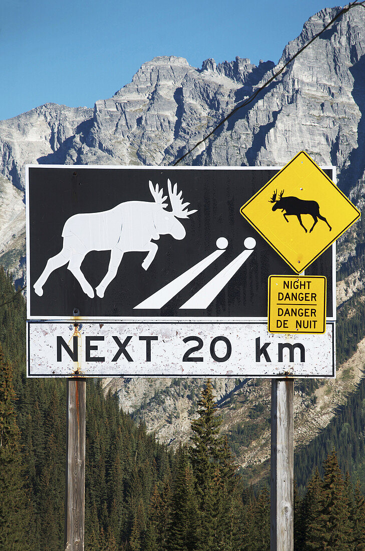Elch-Kreuzung, Warnschild, Hinterland von British Columbia, B.C., Kanada