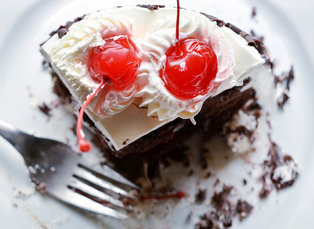 Close-up of black forest cake on plate with fork, studio shot