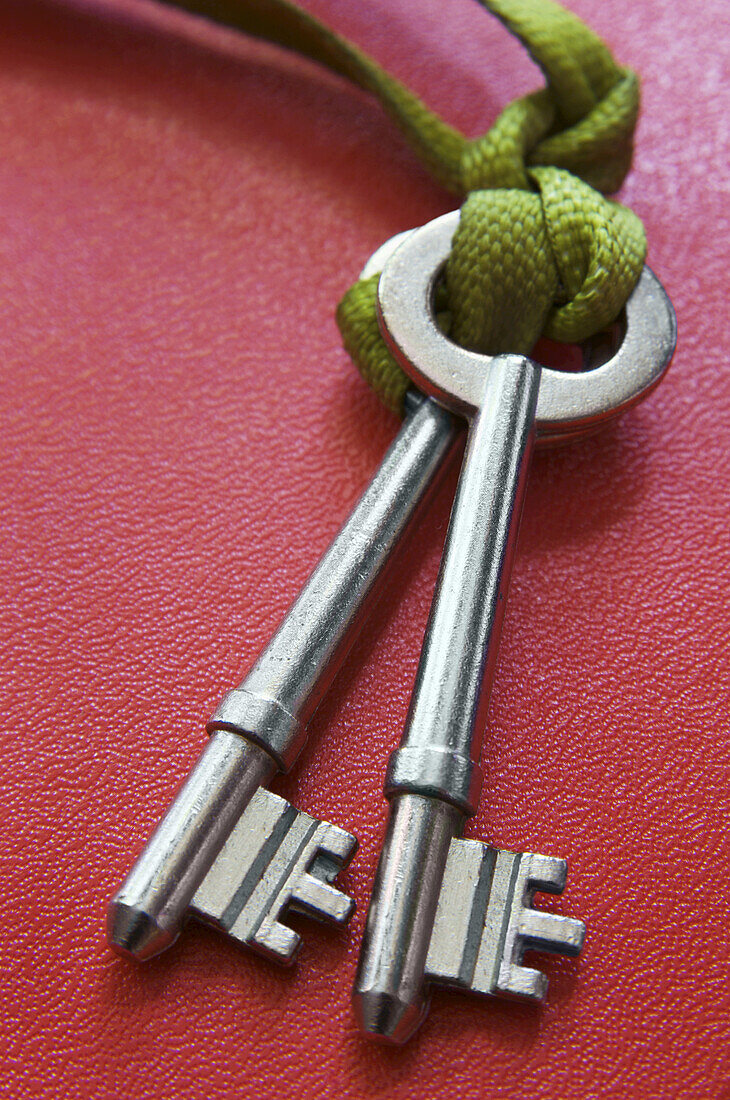 Skelett-Schlüssel