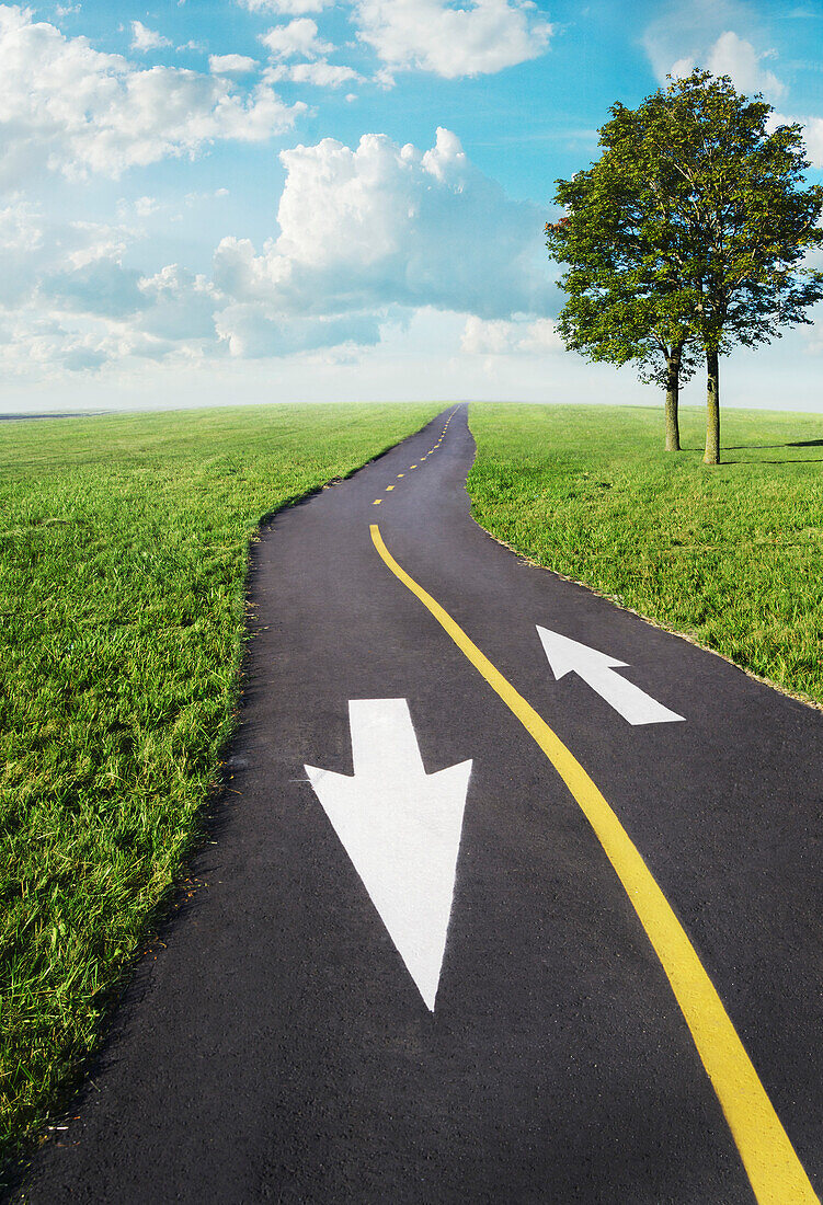 Road with Directional Arrows