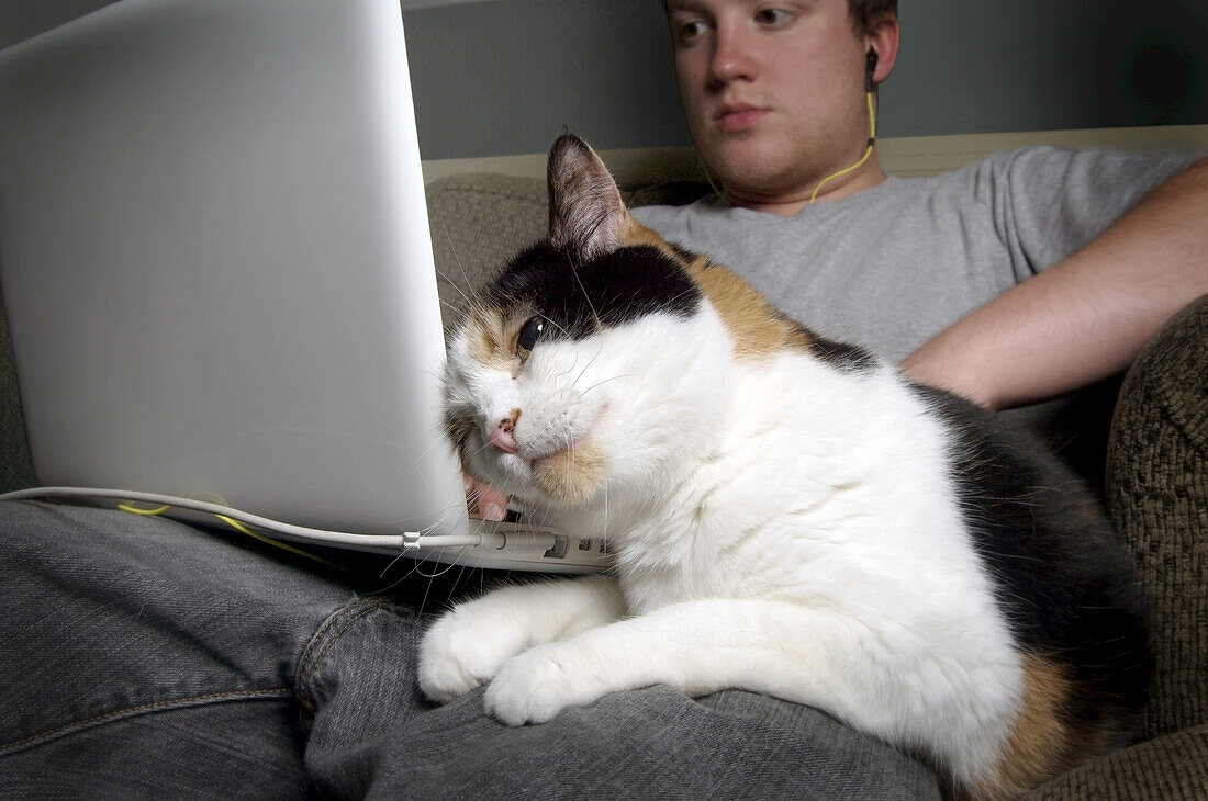 Young Man Using Laptop Computer with Cat, Ontario, Canada
