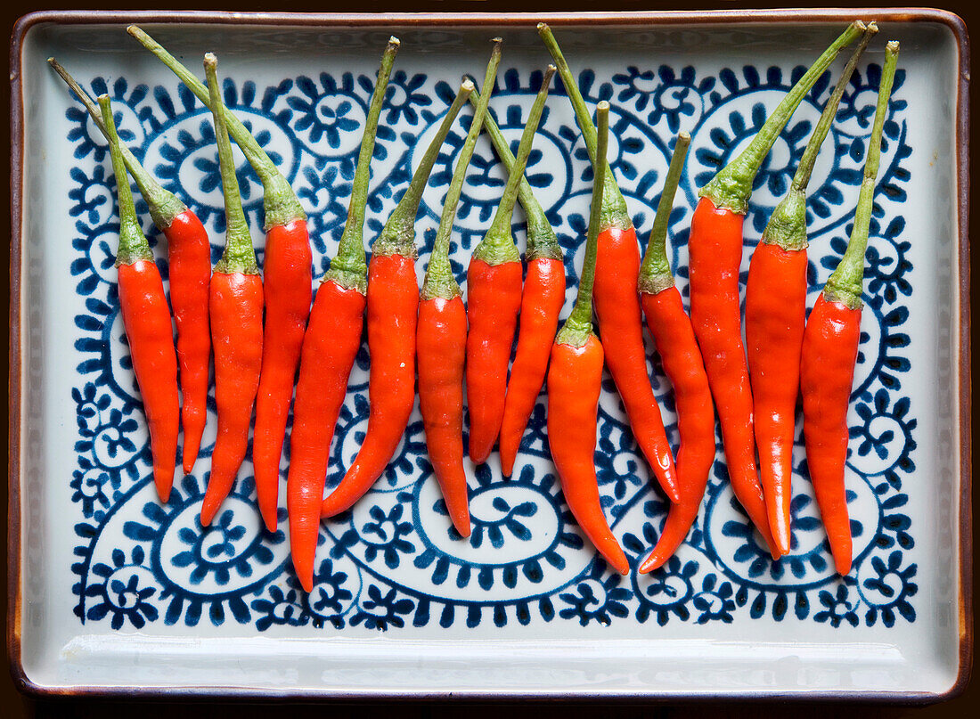 Rote scharfe Chili-Paprika