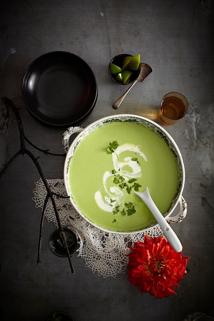 Cilantro soup in bowl with red flower, Mexican Fiesta, studio shot