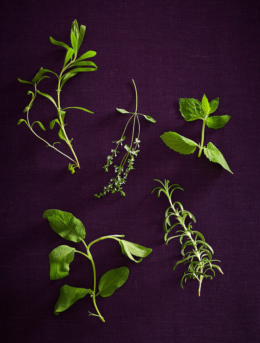 Overhead View of Herbs, Studio Shot