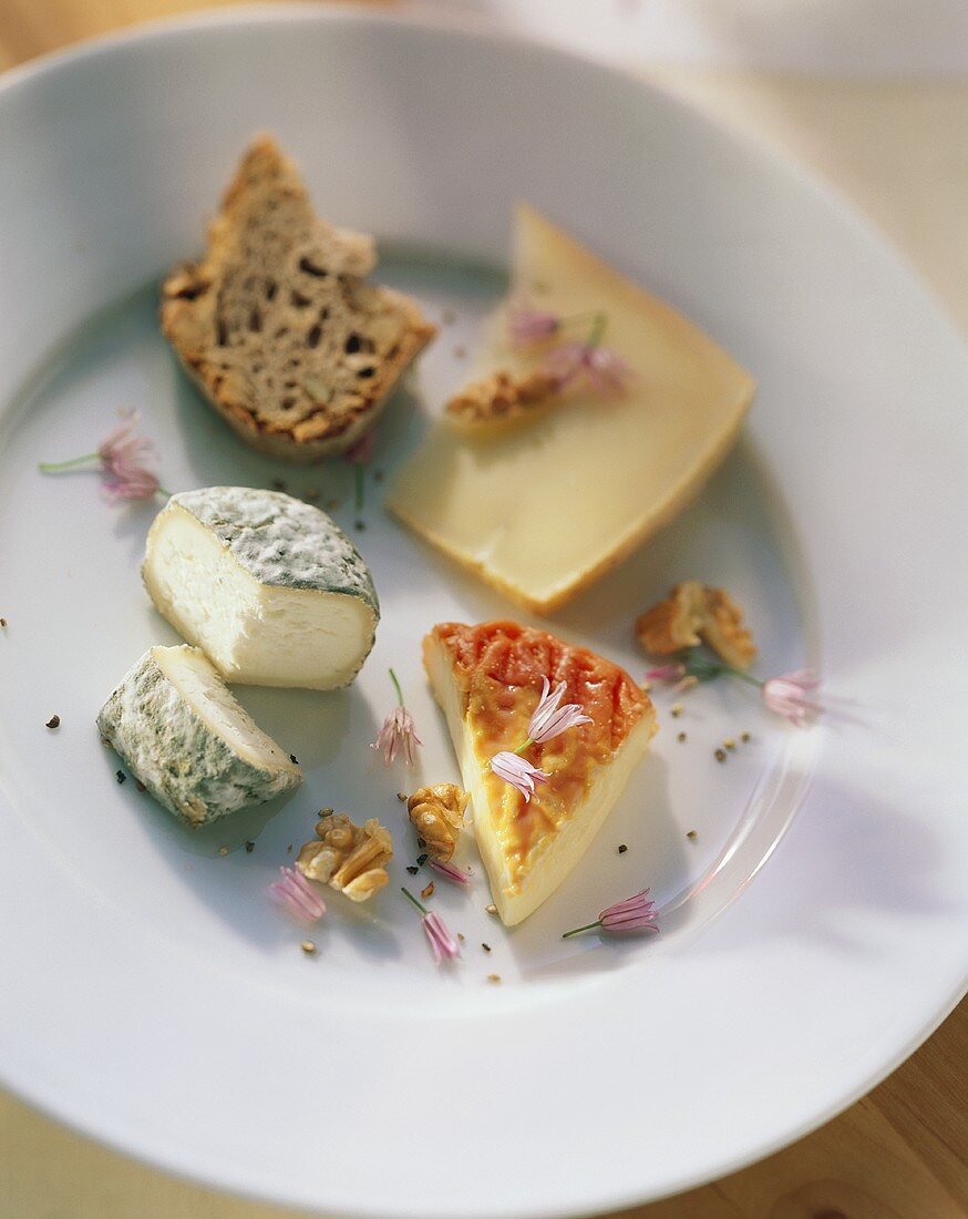 A Variety of Cheese on a Plate