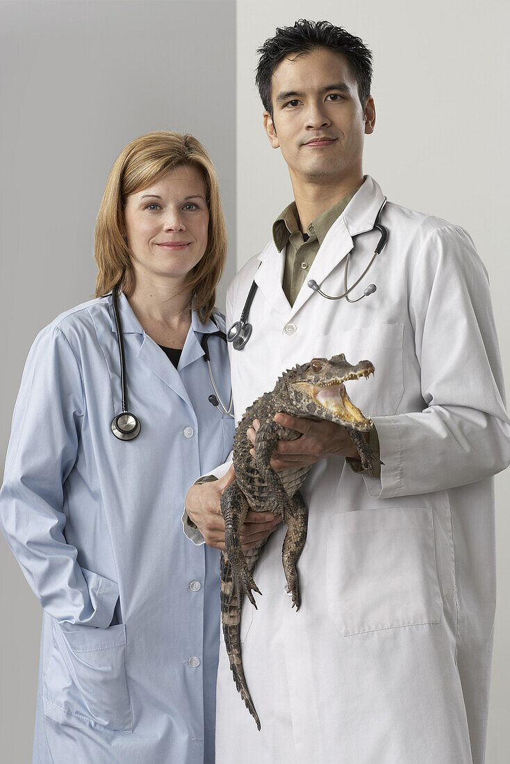 Veterinarians with Alligator