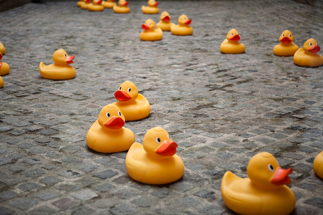 Rubber Ducks on Road, Paris, France