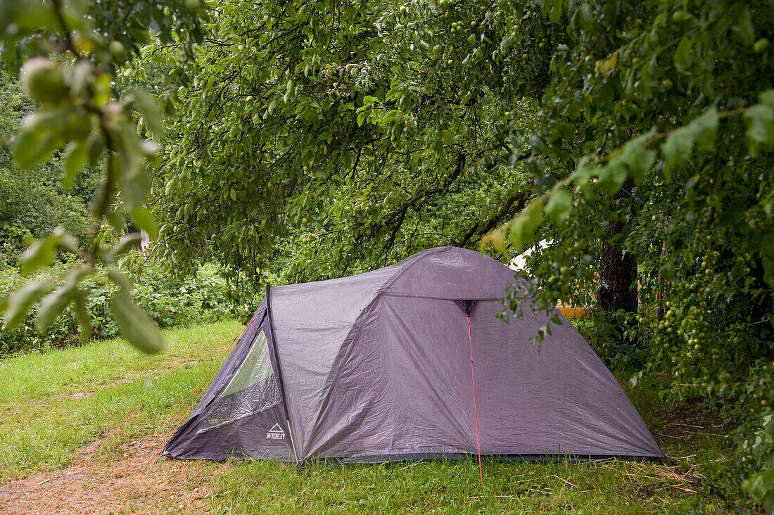 Camping-Zelt, Freiburg, Baden-Württemberg, Deutschland