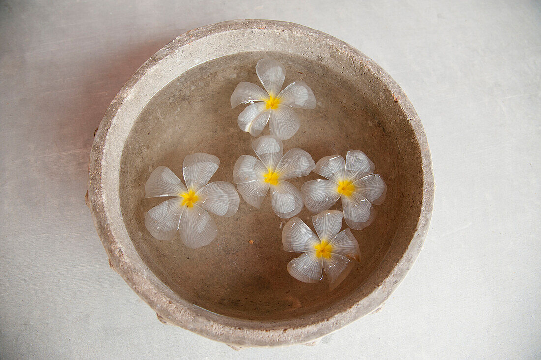 Weiße Blumen schwimmen im Wasser in einer Schale aus Stein