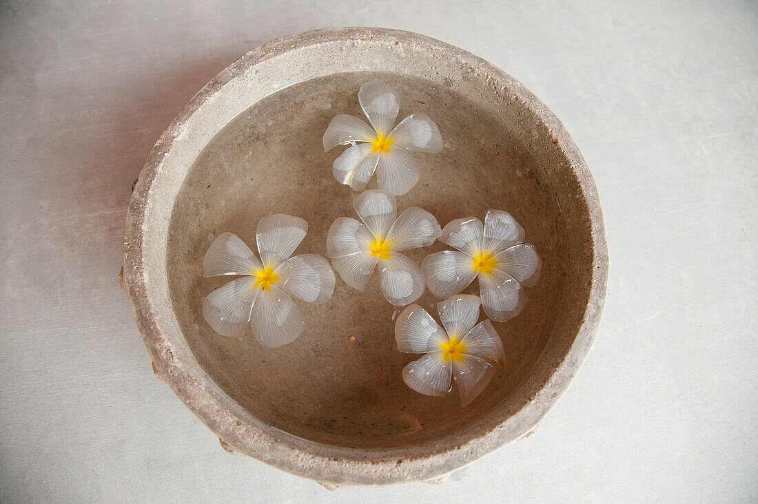 White Flowers Floating in Water in Stone Bowl