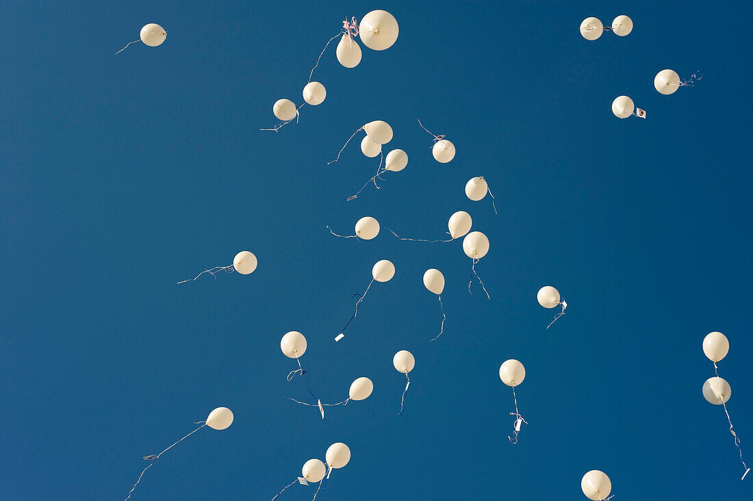 White Wedding Balloons