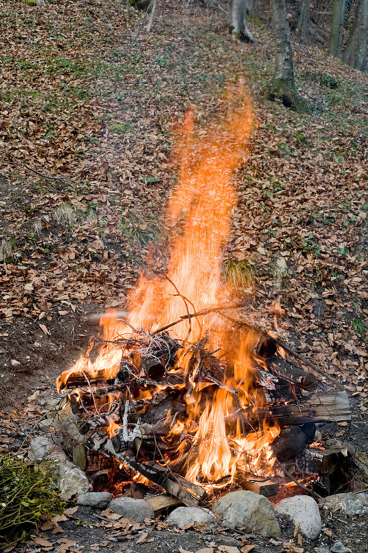 Lagerfeuer, Salzburg, Salzburger Land, Österreich