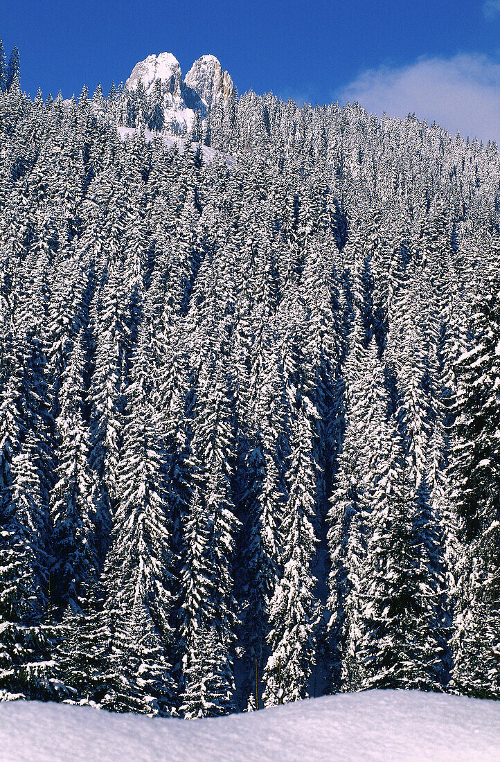 Mt Bischofsmütze Österreich