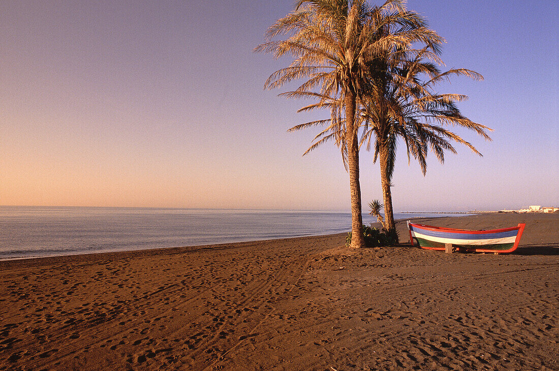 Strand, Palme und Boot, Costa del Sol, Spanien