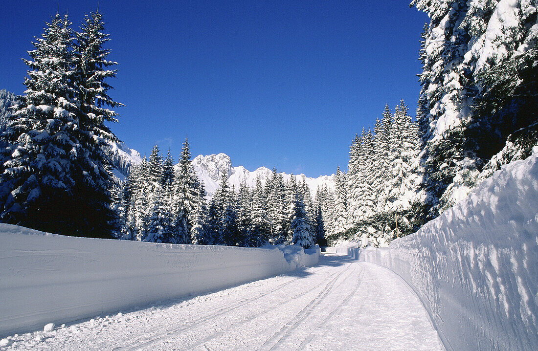 Winter Scenic, Austria