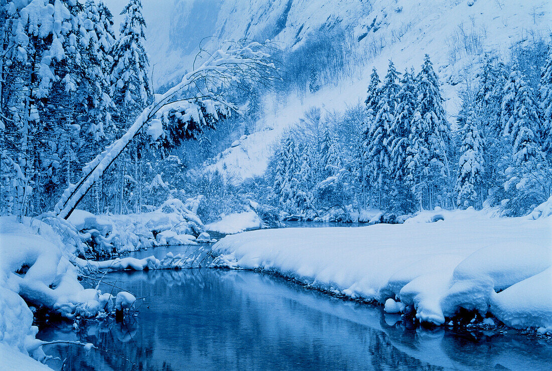 River and Trees in Winter Bluntautal Valley, Salzburg Austria