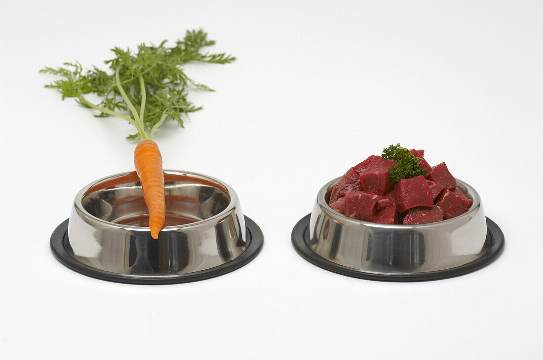 Carrot and Chopped Beef in Dog Bowls