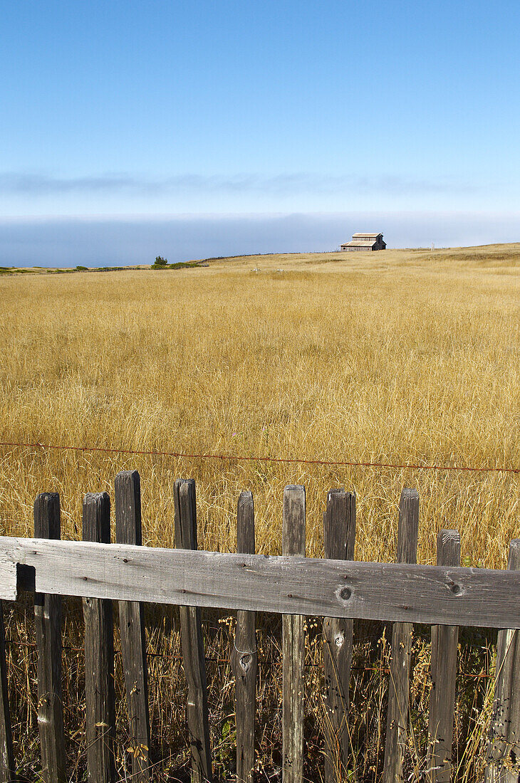 Alte Scheune in Field, Sonoma-Küste, Kalifornien, USA