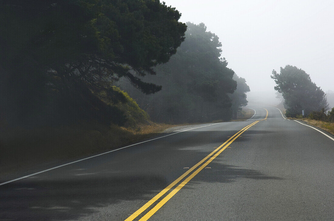 Highway 1, California, USA