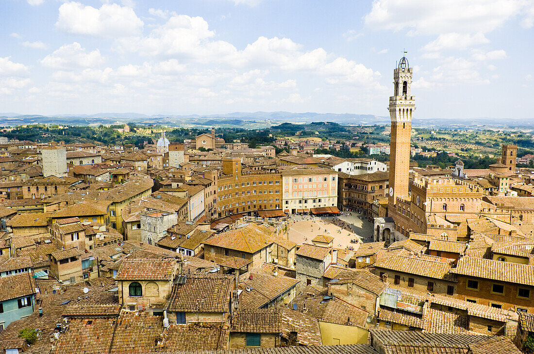 Piazza Del Campo, Siena, Siena Province, Tuscany, Italy