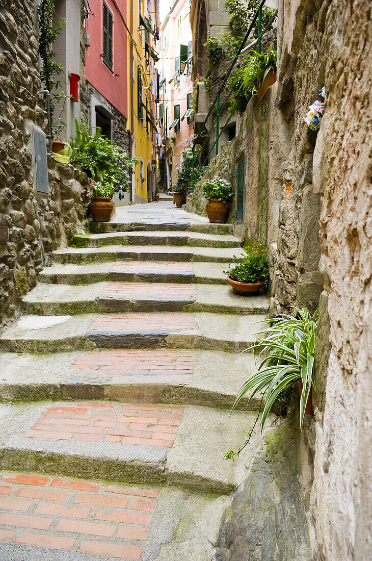 Gasse, Vernazza, Provinz La Spezia, Cinque Terre, Ligurien, Italien