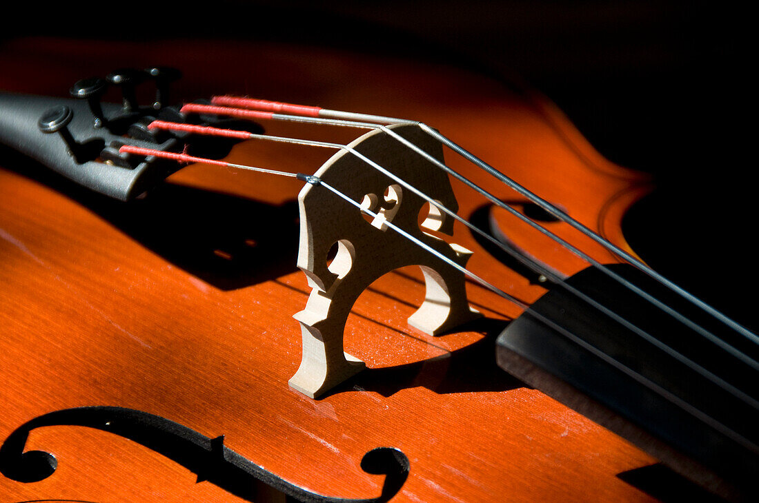 Close-Up of Violin