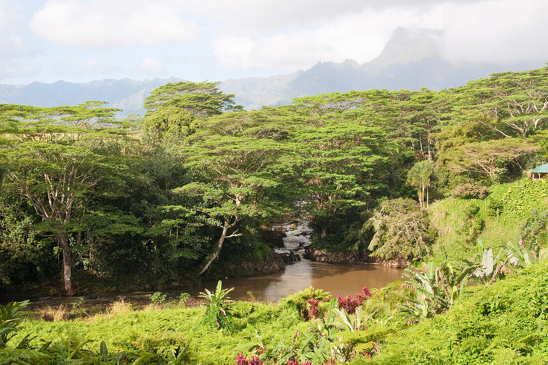 Kauai Aadheenam, Kauai, Hawaii, USA