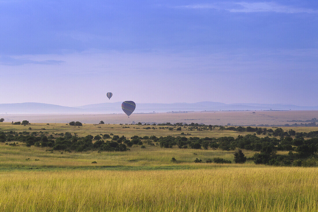 Heißluftballonfahrt über dem Masai Mara Nationalreservat, Kenia