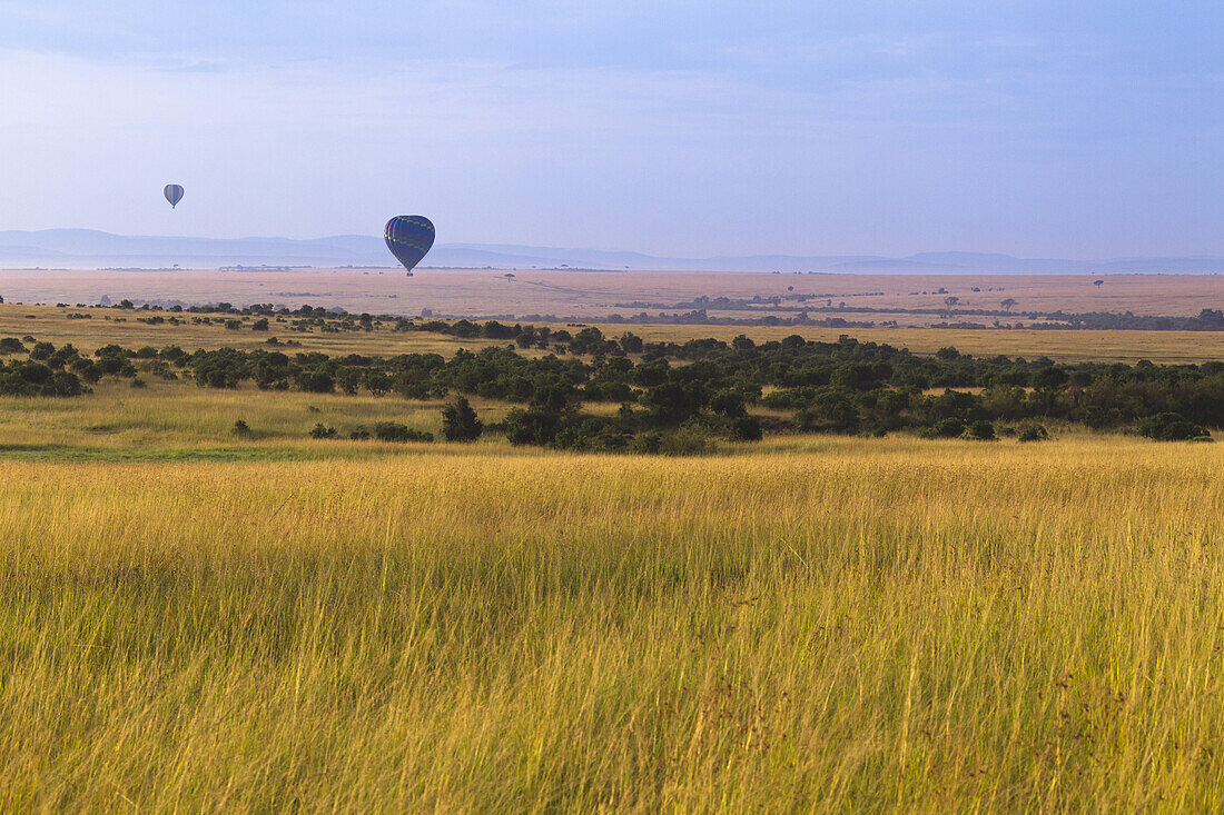 Hot Air Balloons Flying over Masai Mara National Reserve, Kenya