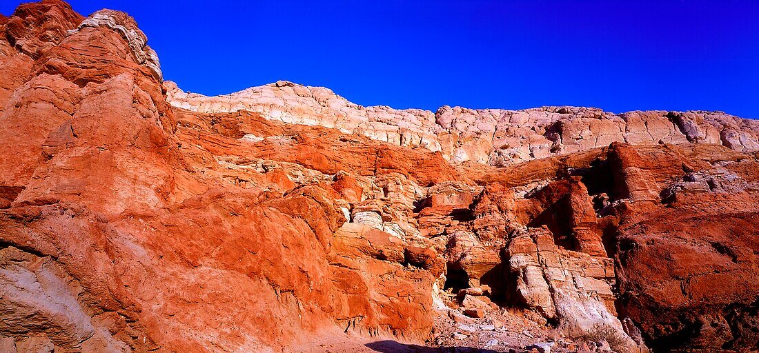 U.S.A. California Mojave