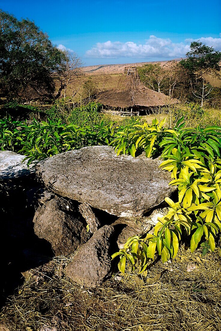 Sumbawa, Indonesien