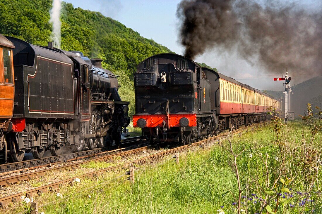 Train In Motion; Levisham, North Yorkshire, England, Uk