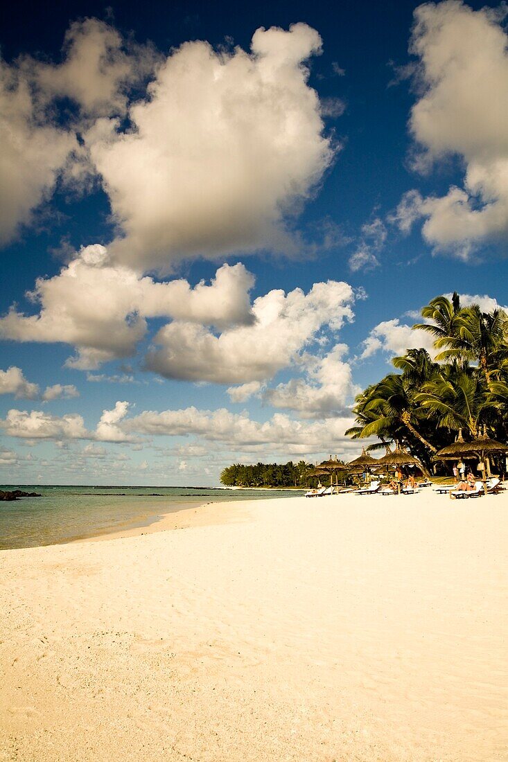 Idyllic Beach And Pam Trees; Flacq, Mauritius