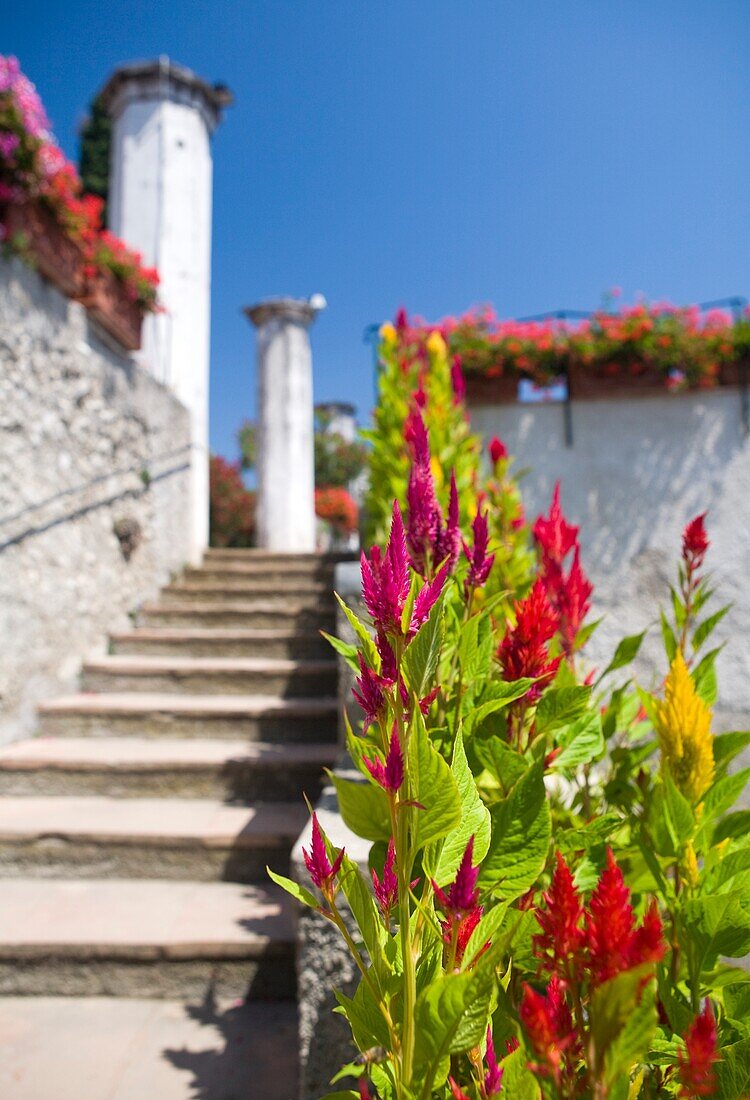 Tropical Plants At The Villa Rufolo Gardens; Ravello, Campania, Italy