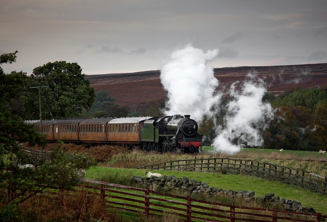 Zug in Bewegung; Grosmont, North Yorkshire, England, Vereinigtes Königreich