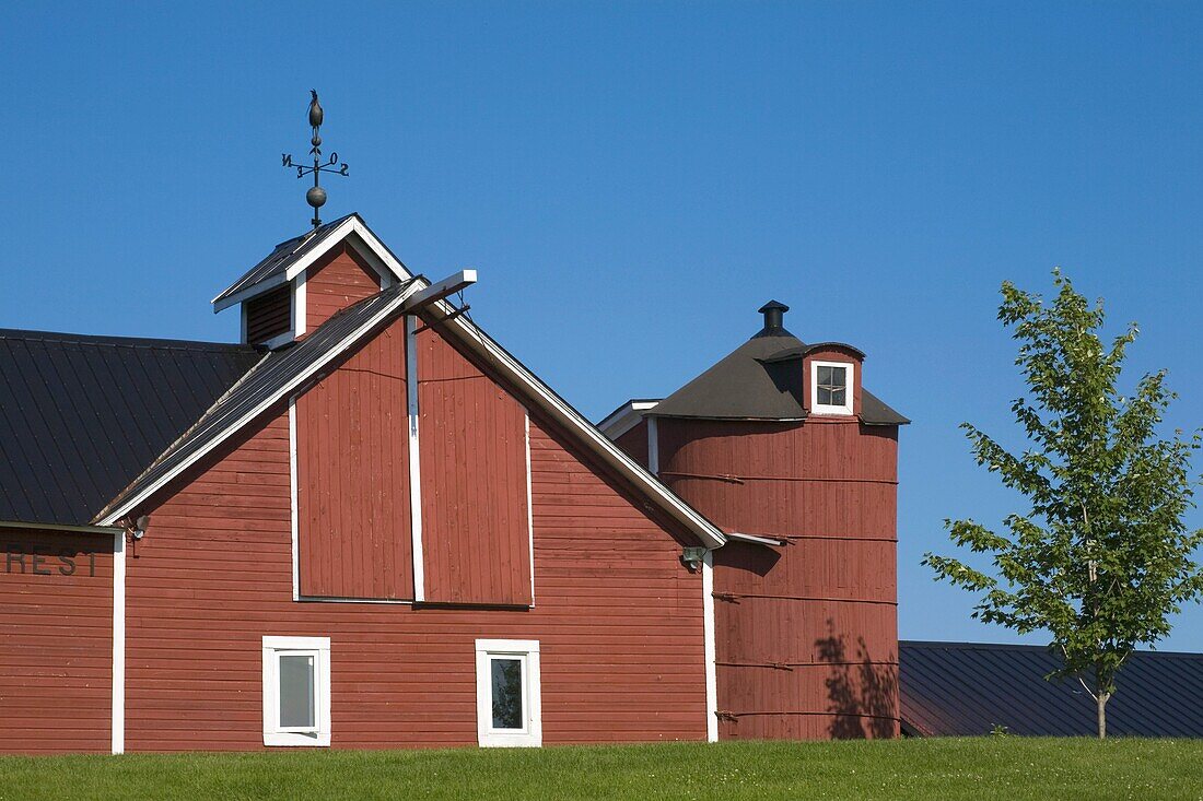 Barn