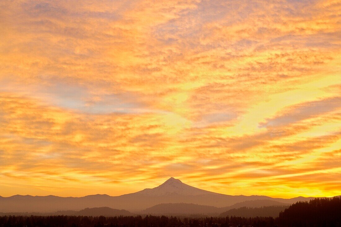 Sonnenaufgangshimmel über Mt. Hood; Portland, Oregon, Usa