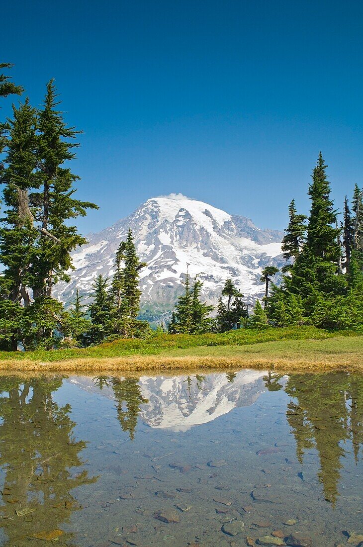 Mt. Rainier reflektiert von Plummer Peak; Mt. Rainier National Park, Washington State, Usa