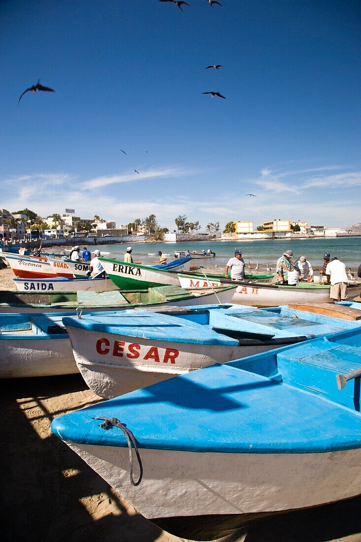 Olas Altas Boulevard Beach And Fish Boats; Mazatlan, Sinaloa, Mexico