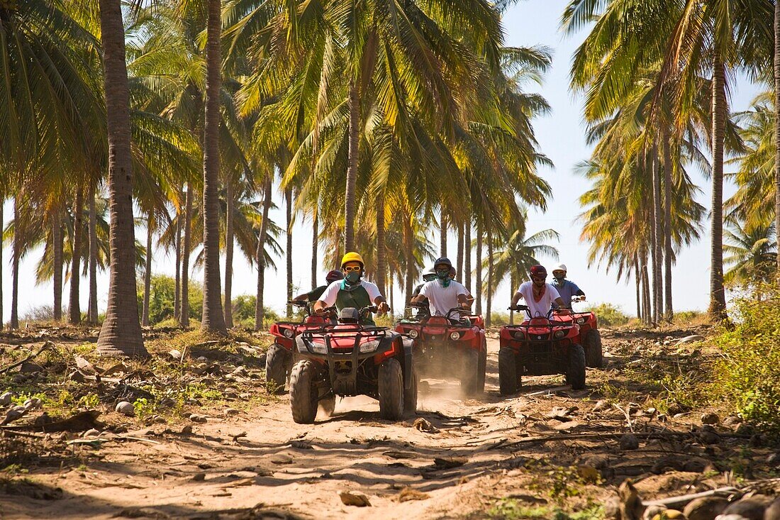 Drivers On Quadbikes Taking Part In Atv Tour; Stone Island, Mazatlan, Sinaloa, Mexico