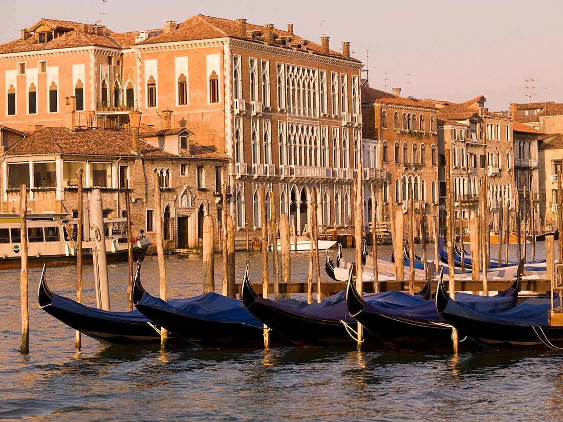 Row Of Gondolas, Buildings In Background; Venice, Italy