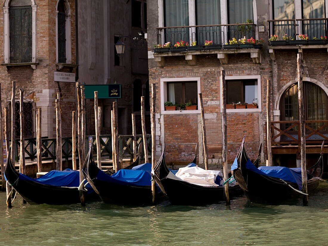 Reihe von Gondeln vor Gebäuden; Venedig, Italien