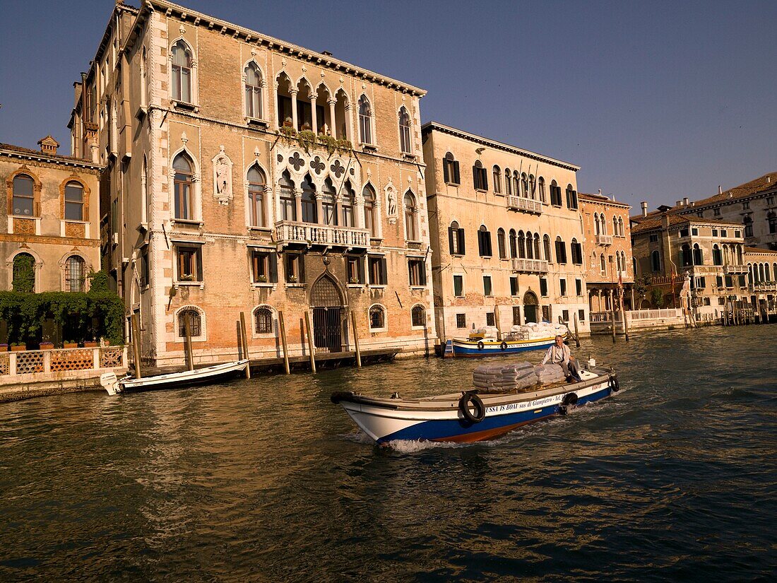 Mann fährt ein Motorboot; Canal Grande. Venedig, Italien