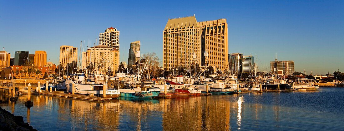 Thunfischhafen und Stadtsilhouette, Panorama; San Diego, Kalifornien, USA